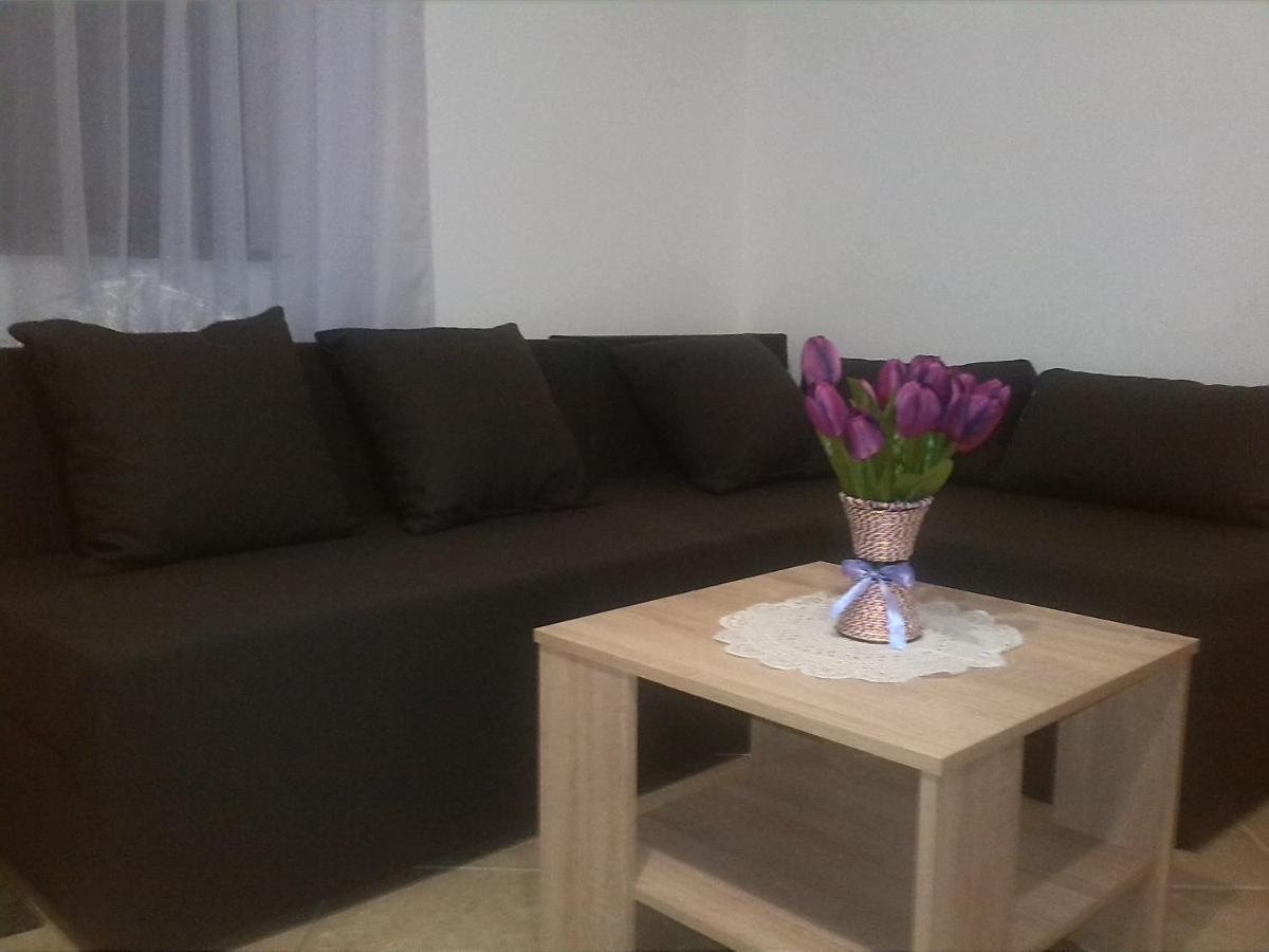 Apartman Borosa Vir Buitenkant foto